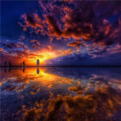 电玩城金鲨银鲨下载手机版